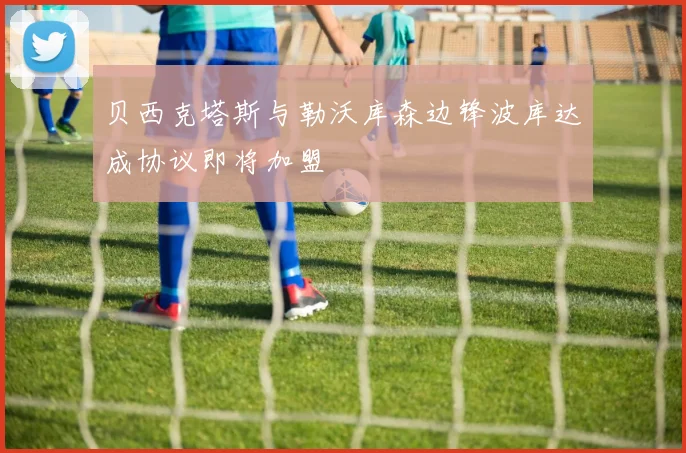 贝西克塔斯与勒沃库森边锋波库达成协议即将加盟
