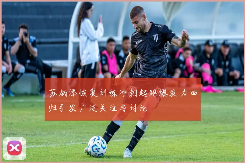 苏炳添恢复训练冲刺起跑爆发力回归引发广泛关注与讨论