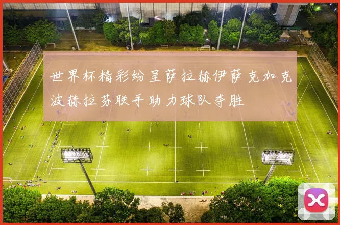 世界杯精彩纷呈萨拉赫伊萨克加克波赫拉芬联手助力球队夺胜